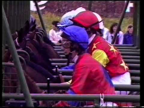 1988 Queen Mother's Cup