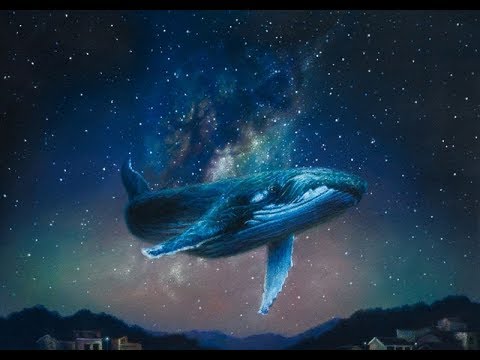 Swimming In Stars - Wayfarers - (Lyrics) (The Kissing Booth)