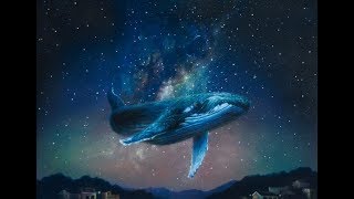 Swimming In Stars - Wayfarers - (Lyrics) (The Kissing Booth)