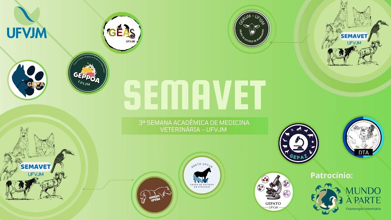 2° dia da III SEMAVET