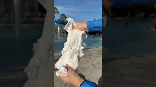 Download lagu When unexpectedly run out of swim diapers there’s a solution #momlife #momhack #lifehack #momhacks mp3 Download lagu When unexpectedly run out of swim diapers there’s a solution #momlife #momhack #lifehack #momhacks mp3