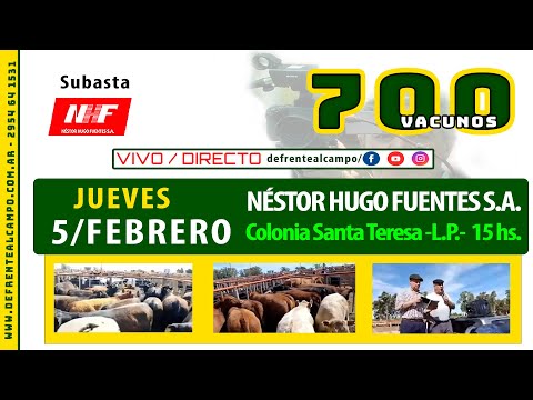 en VIVO - 15 hs. - REMATE de NÉSTOR HUGO FUENTES S.A. -JUE. 5 / FEB. / 2026 - COL. SANTA TERESA -