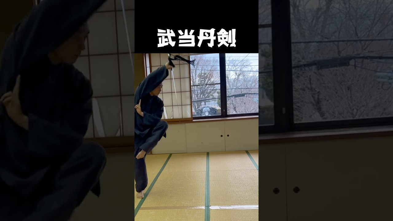 武当丹剣/Wu dang Dan sword #kungfu #martialarts #Wu dang #武当 武当丹剣