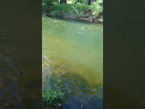Riverdowns Fly Fishing Guiding and Instruction