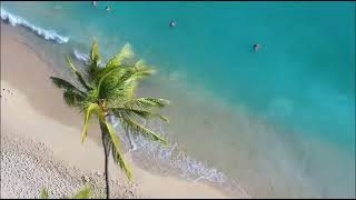 Relaxing to Hawaiian Beach Waves Video