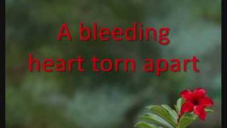 The Corrs-Forgiven Not Forgotten- Lyrics