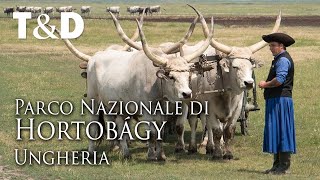 preview picture of video 'Parco Nazionale Hortobágy - Ungheria'