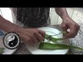 Benefits of eating an Aloe Vera plant and how to ...