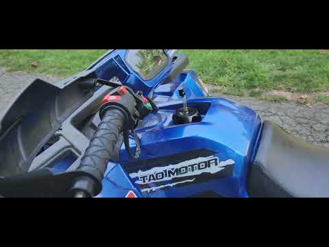 tao rapter 200 after 3 months