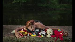 &quot;The thing about things&quot; -Amanda Palmer. subtitulada (ingles y español)