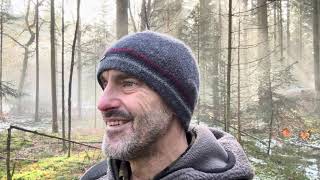 Friday Ascension Update from the Woods – Schwaben Hotel Ebnisee, Stuttgart.