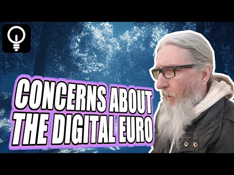 Concerns about the digital euro