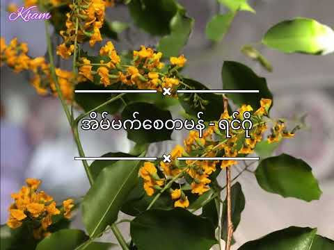 အိမ်မက်စေတမန် - ရင်ဂို