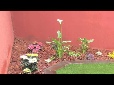 Antes y después reforma integral de jardín en Arucas