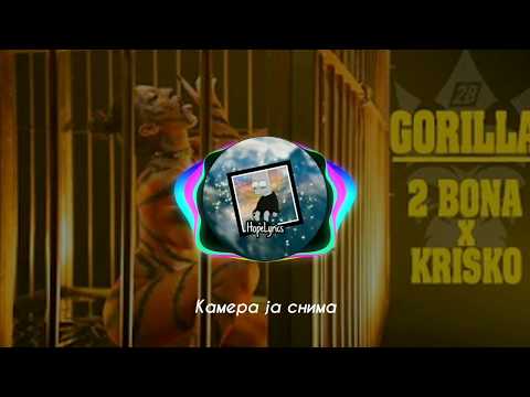 2BONA x KRISKO - GORILLA [Official Lyrics Video]
