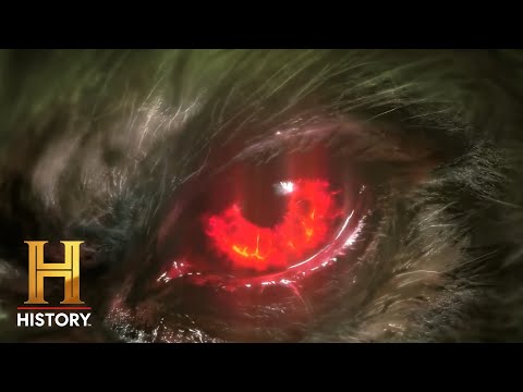Louisiana's Werewolf: The Rougarou | MonsterQuest: Origins | Official Preview
