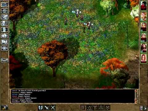Let's Play Baldur's Gate Trilogy (German) - #95 - Bluebell Wood 5
