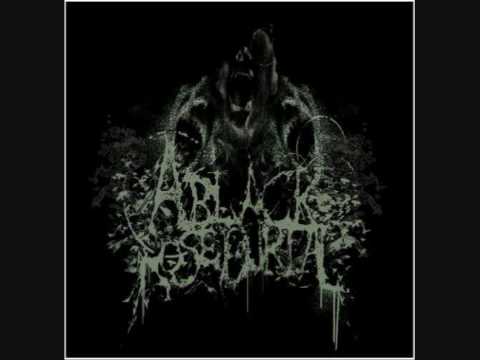 A Black Rose Burial - When Light No Longer Emits