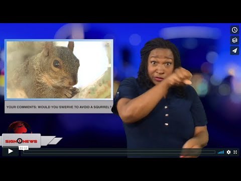 Your comments: Would you swerve to avoid a squirrel? (ASL - 9.5.18)