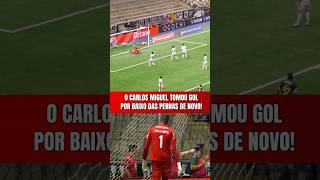 O CARLOS MIGUEL FALHOU??? | LEVOU GOL POR BAIXO DAS PERNAS EM ATLÉTICO-MG X PALMEIRAS!