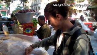 Cairo Street Food - Ful Medames Beans Cart (Migration Mark)