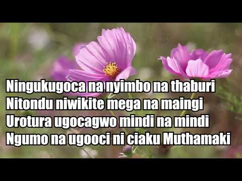 NINGUKUGOCA BY Damah wa father Abraham (Offiacial Lyrics Video)