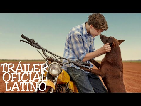 Siempre estarás conmigo (2019) - Final Explicado