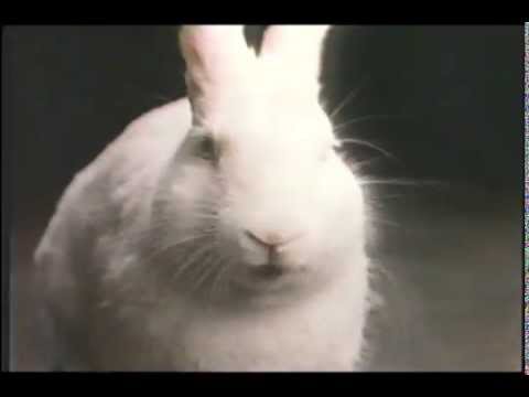 Classic 1983 Cadbury Egg Bunny Commercial