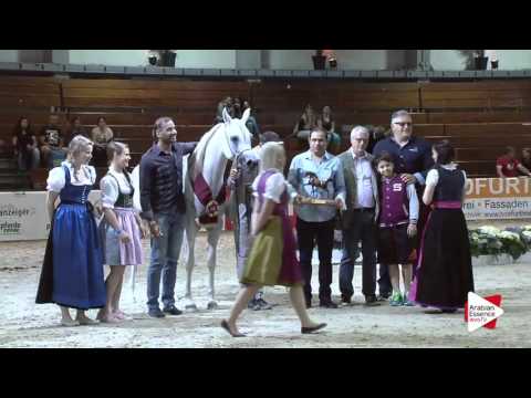 Wels 2016 - International Special Awards - Prizegiving - Best Mover: n.57