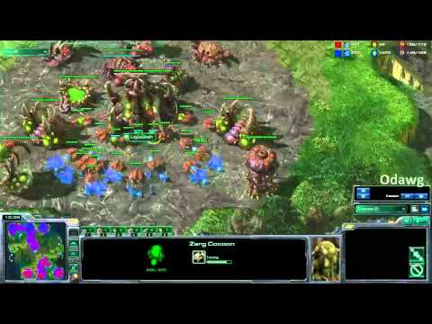 SC2 Cast M+Stephano vs LiquidSheth