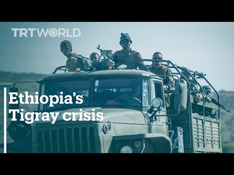 Ethiopia says its army will not advance further into Tigray