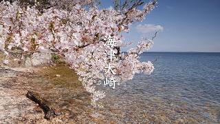 Kaizu Osaki video preview