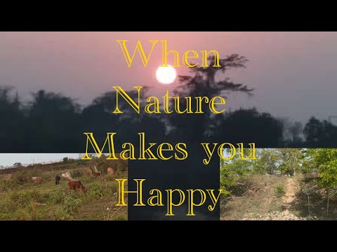 when Nature Makes you Happy || Scene at the time of Sunset
