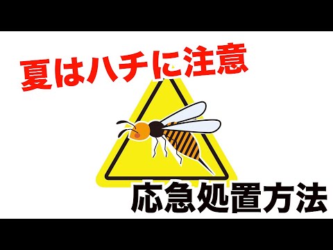 猫が蜂に刺された場合の症状と対処法