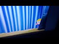 Little Einsteins Ending Toothbrush