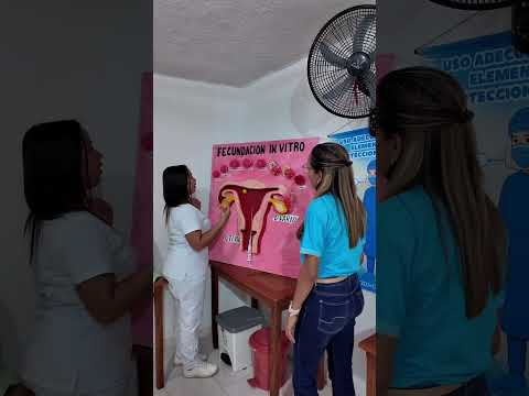 25 Años De Creación Del Instituto Técnico De La Costa Inteco Fonseca - La Guajira. Video Número Uno.