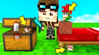 NASCONDINO DA PICCOLISSIMI su MINECRAFT!