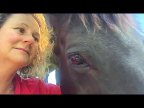 Chica 19 01 30 our last day together - I miss you so much