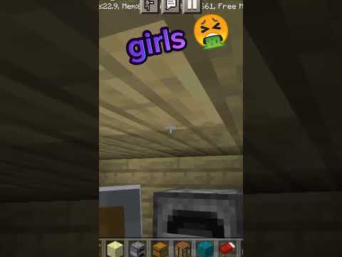 girls  v/s boys house #minecraft