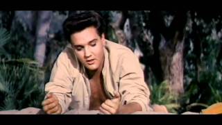 Elvis Presley   Follow That Dream 1962