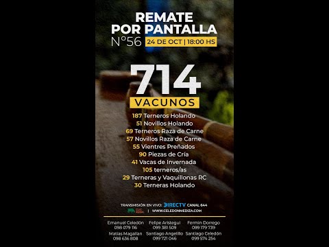 24/10/2025  56º Remate por Pantalla  - Celedon Mediza  / Virtual  - Colonia