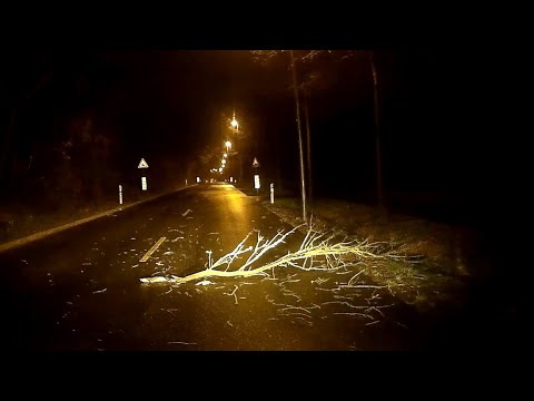 Sturm SABINE: orkanartige Böen in Sachsen