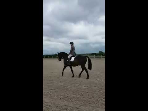 BE90 Test 97 - 2nd Combined Training @ West Wilts May 2017