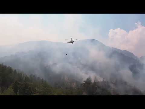 Kadir Kayışcı’dan Orman Yangını Kamu Spotu | Tarım ve Orman Bakanlığı Uyarıyor! 🌲🔥