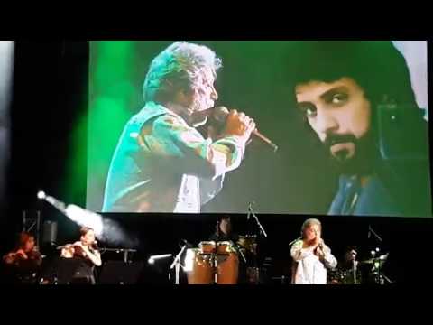 اجرای زنده ترانه تکیه بر باد توسط داریوش - هامبورگ 2017