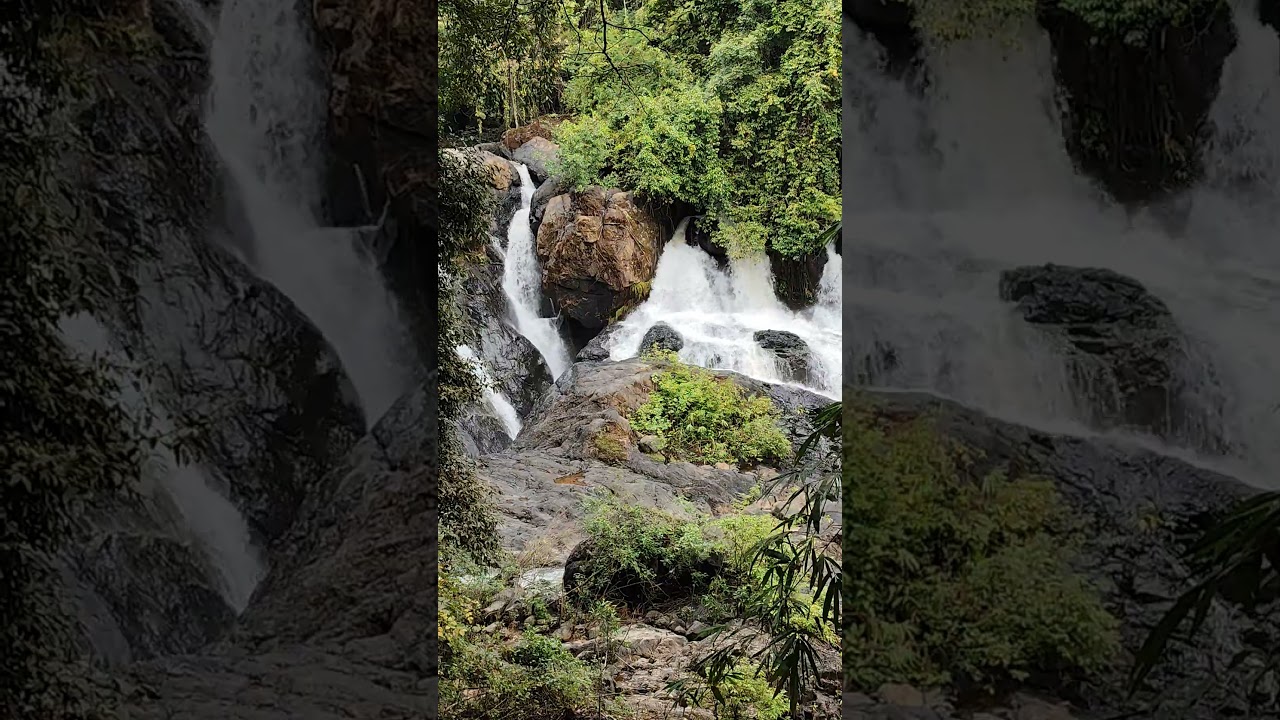 YouTube Short thumbnail