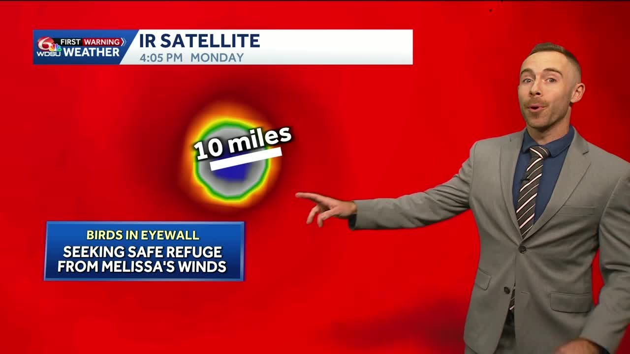 youtube video id=t6SDzCiZN_o