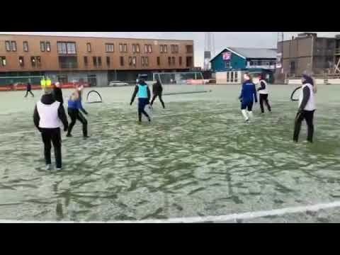 Rondo 5v5+1 m/småmål