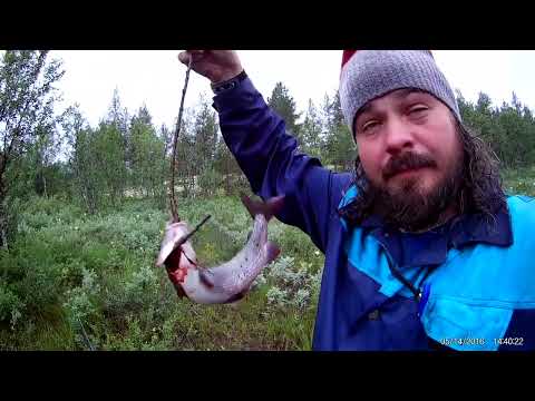 Рова, Йоканьга. 2017 год. Фильм 1.