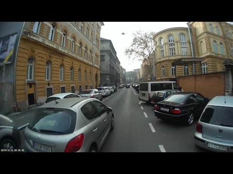 KKW-580 Pushy but doesn't know the zebra - Tolakszik, de a zebrát nem ismeri